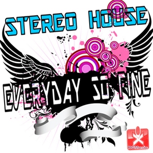 Stereo House - Everyday so Fine (Rgmusic Records)