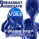 Various Artists - Breakbeat Associate Vol 6