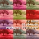 Wolfgang Edelmayer - 12 T&ouml;ne, 12 Monate