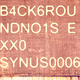 Synus0006 - B4ck6roundno1se Xx0