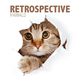 Maiwald - Retrospective