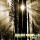 Mauro Panello - Reiell
