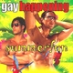 Various Artists - Gay Happening Summerfun