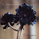 Crepusculo - Exhilaration