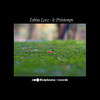 Tobias LenzLe Printemps