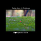 Tobias Lenz - Le Printemps