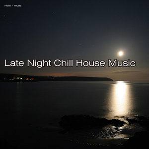 Various Artists - Late Night Chill House Music (Nidra Music)