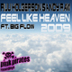 Riju Holgerson And Andy Raw Feat Big Flow Feels Like Heaven