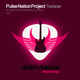 Pulse Nation Project - Transcer Pulse Nation Project - Transcer