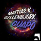 Mattias K & Gyllenbjork Guapo