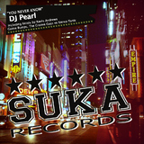 You Never Know by Dj Pearl mp3 download