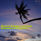 Various Artists Bossa Meets Lounge Deluxe Collection 