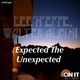 Lee N Effe Featuring Walter Albini Expected the Unexpected