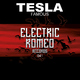 Tesla - Famous Tesla - Famous