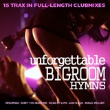 Unforgettable Bigroom Hyms by Various Artists mp3 download