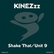 Kinezzz Shake That-Unit 9 Kinezzz Shake That-Unit 9