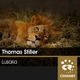 Thomas Stiller Lusaka