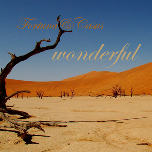 Fortuna & Casus - Wonderful (Force Productions)