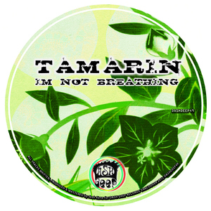 Tamarin - Im Not Breathing (Dash Deep Records)