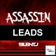 Silent J Assassin Leads