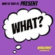 Who Is That Dj - What?