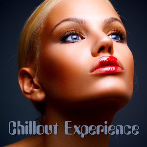 Various Artists - Chillout Experience (Get In Shape Recordings)
