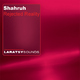 Shahruh Rejected Reality