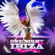 Various Artists One Night In Ibiza By Lucas Reyes