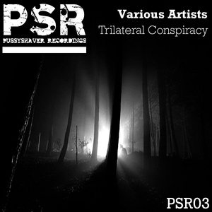 Various Artists - Trilateral Conspiracy (Pussyshaver Recordings) Various Artists - Trilateral Conspiracy (Pussyshaver Recordings)