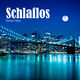 Roman Beise Schlaflos