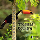 Lucas Favali Tropical Country