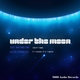 Jose Antonio Eme & Lucho Zeballos  Under the Moon