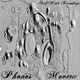 Maveric Phonos