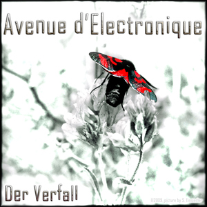 Avenue D Electronique - Der Verfall (shilf-music) Avenue D Electronique - Der Verfall (shilf-music)