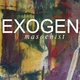 Exogen Masochist