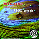 Nicube Illusions J Sasz Deep Mix