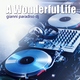 Gianni Paradiso Dj A Wonderful Life Gianni Paradiso Dj A Wonderful Life
