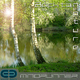 Mindrunner Back to Nature