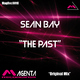 Sean Bay The Past