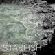 Starfish Prima Nesokia