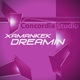 Xamanek - Dreamin 