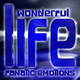 Fanatic Emotions Wonderful Life Fanatic Emotions Wonderful Life