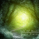 Lab Of Music Magic Fields Lab Of Music Magic Fields
