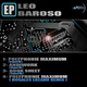 Leo Baroso Polyphonie Maximum