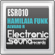 Alvaro R Hamilaia Funk
