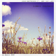 Jens Guetschow Ft. Amy Capilari Summer Deepness