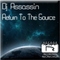 Return to the Source by DJ Assassin mp3 downloads