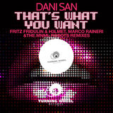 That's What You Want by Dani San mp3 download
