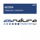 Aeden Traveler