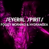 Foggy Morning and Hydrangea by Several Spirits mp3 download